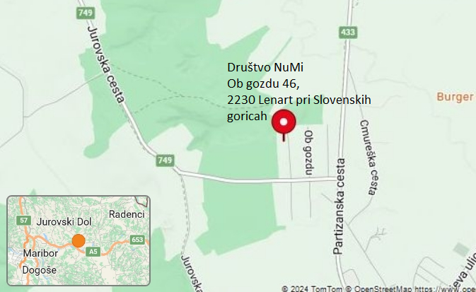 Ob gozdu 46, Lenart pri Slovenskih goricah Ni zemljevida